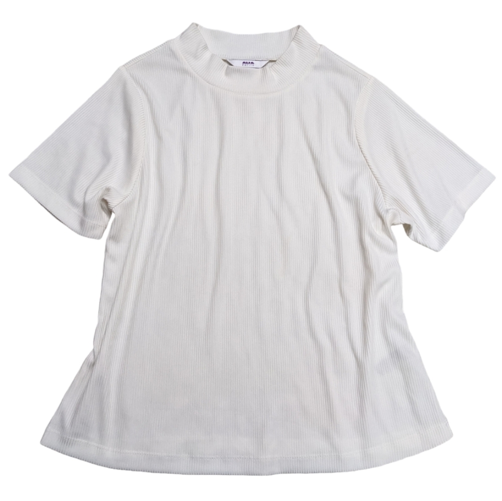 (2/$25) Alia mock neck ribbed stripe short sleeve white top